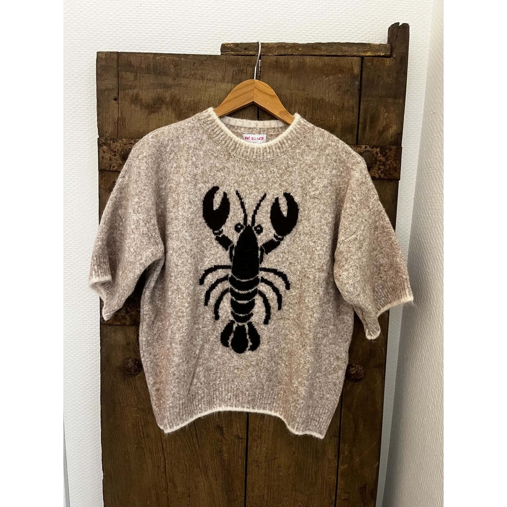 Lobster stickad tröja – beige/brun | Not Allowed